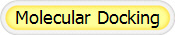 Molecular Docking